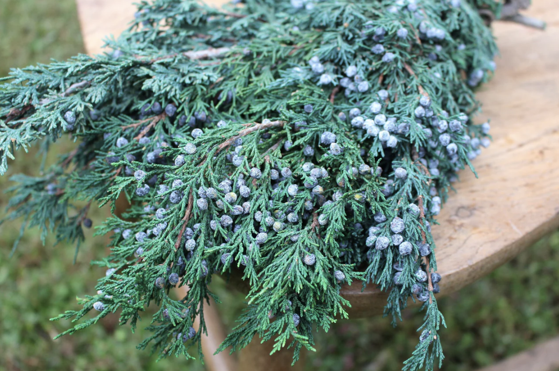 Blueberry juniper garland